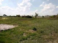 land-for-sale-in-katuba-zambia-small-0