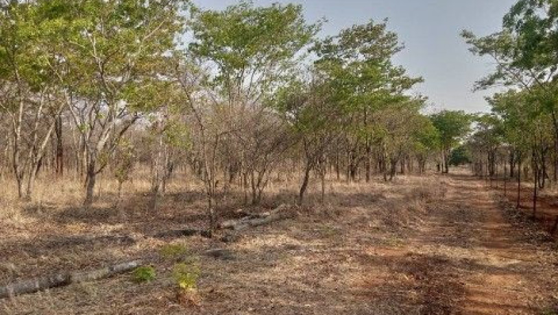 peaceful-estate-land-for-sale-near-lusaka-national-park-big-0