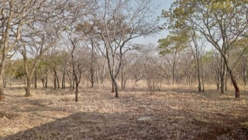 peaceful-estate-land-for-sale-near-lusaka-national-park-big-1