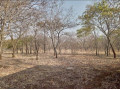 peaceful-estate-land-for-sale-near-lusaka-national-park-small-1