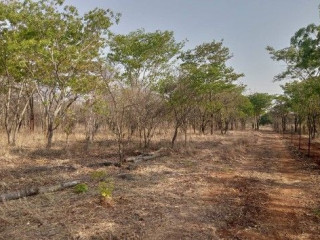 peaceful-estate-land-for-sale-near-lusaka-national-park