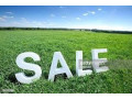 large-plot-of-land-for-sale-in-chisamba-small-0