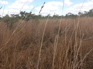 Chibombo Land for Sale