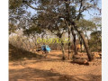 399-hectares-copper-mine-in-mumbwa-small-3