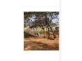 399-hectares-copper-mine-in-mumbwa-small-3