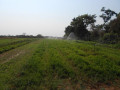 farm-for-sale-in-chongwe-lusaka-small-5