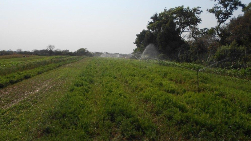 farm-for-sale-in-chongwe-lusaka-big-5