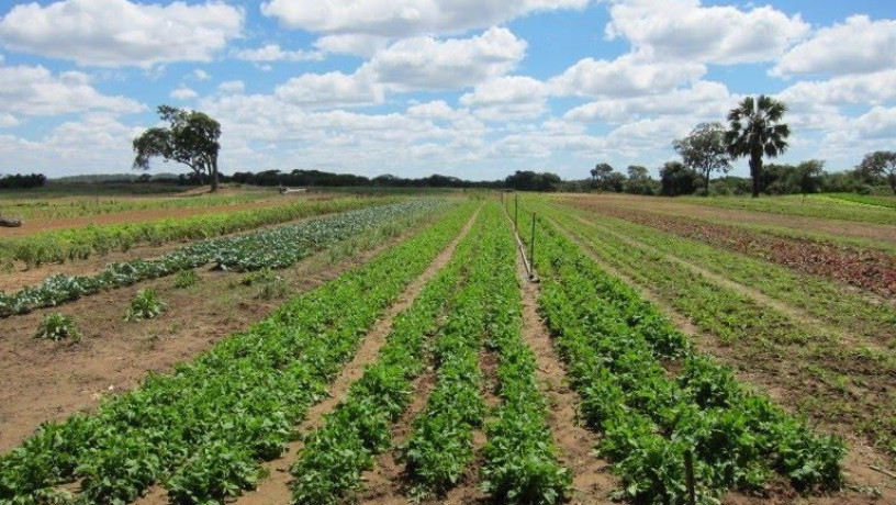 farm-for-sale-in-chongwe-lusaka-big-4