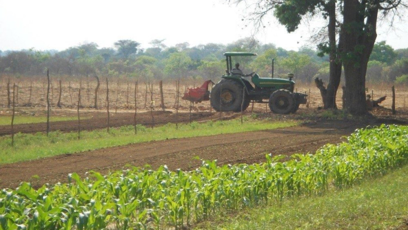 farm-for-sale-in-chongwe-lusaka-big-6