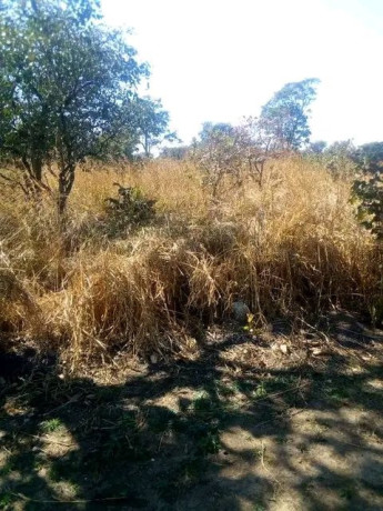 chisamba-land-urgent-sale-big-0