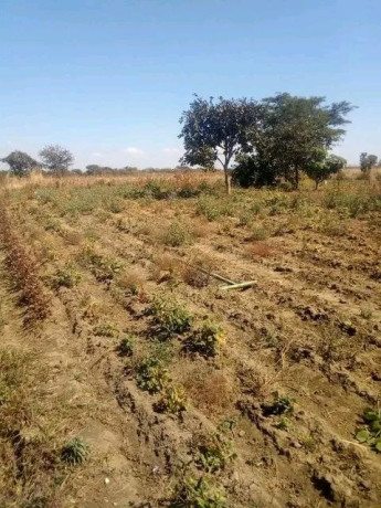 chisamba-land-urgent-sale-big-1