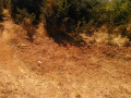 prime-land-for-sale-next-to-mazokas-farm-small-2