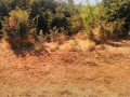 prime-land-for-sale-next-to-mazokas-farm-small-1