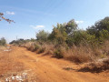 prime-land-for-sale-next-to-mazokas-farm-small-0