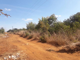 Prime Land for Sale Next to Mazoka's Farm