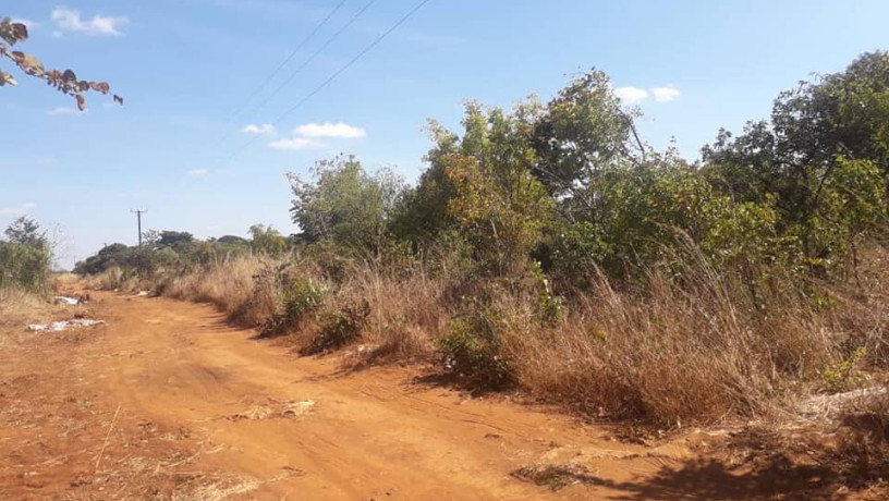 prime-land-for-sale-next-to-mazokas-farm-big-0