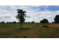 10-acres-of-land-on-title-for-sale-small-2