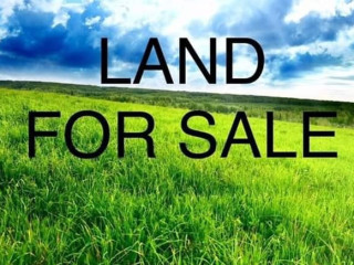 23 Hectares Land near Chisamba Boma