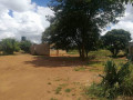 farm-for-sale-in-libala-south-small-1