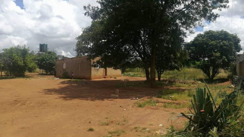 farm-for-sale-in-libala-south-big-1