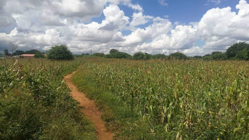 farm-for-sale-in-libala-south-big-3