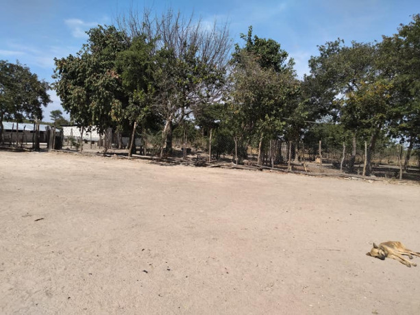 farm-for-sale-big-2