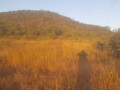 land-for-sale-in-kafue-ten-park-small-1