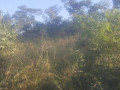 land-for-sale-in-kafue-ten-park-small-0