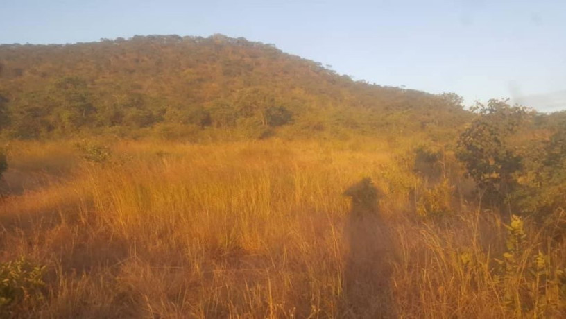 land-for-sale-in-kafue-ten-park-big-1