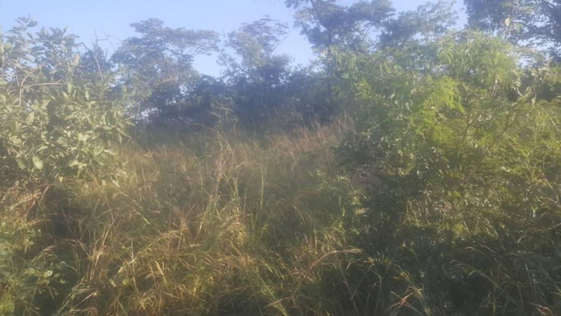 land-for-sale-in-kafue-ten-park-big-0