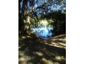 river-frontage-land-with-chalets-for-sale-small-0