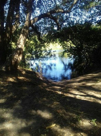 river-frontage-land-with-chalets-for-sale-big-0