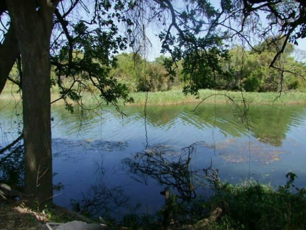 river-frontage-land-with-chalets-for-sale-big-4