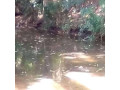 plot-available-for-sale-small-2