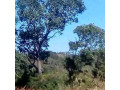 plot-available-for-sale-small-0