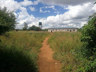 23-hectare-farm-with-4-bedroom-house-in-liliayi