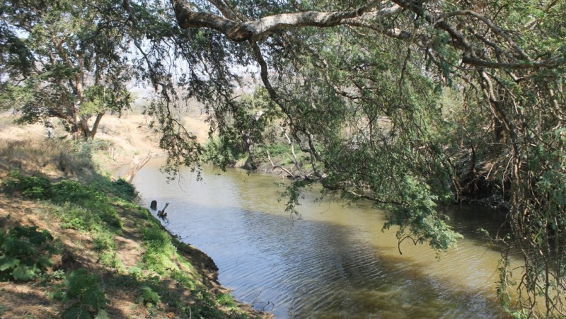 large-cattle-ranch-in-mazabuka-farming-area-big-1