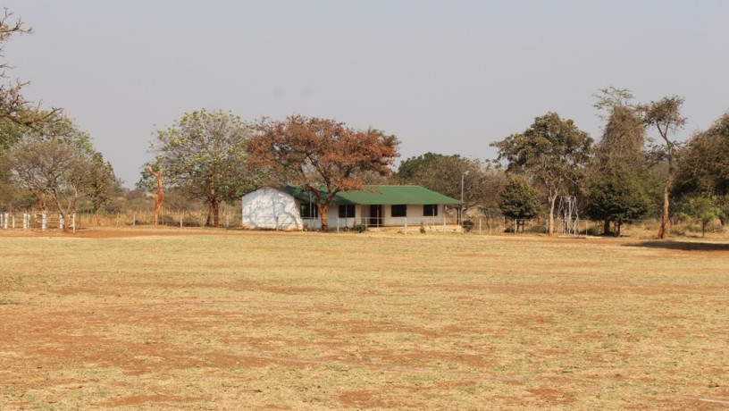 large-cattle-ranch-in-mazabuka-farming-area-big-7