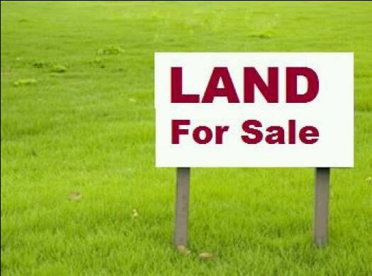 113-acres-land-in-new-kasama-big-1