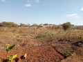 farmland-for-sale-in-mapepe-chilanga-small-0