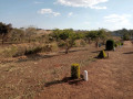 farmland-for-sale-in-mapepe-chilanga-small-1