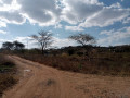 farmland-for-sale-in-mapepe-chilanga-small-2