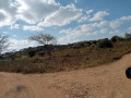 farmland-for-sale-in-mapepe-chilanga-small-3