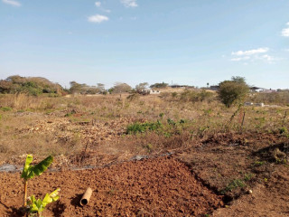 Farmland for Sale in Mapepe Chilanga