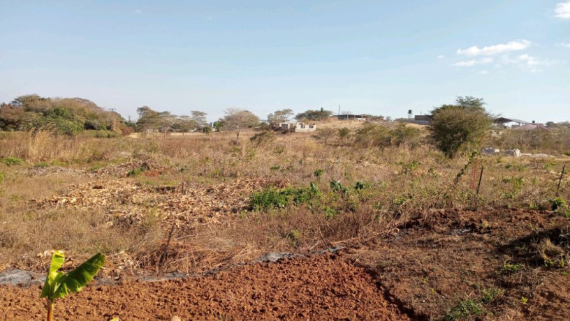 farmland-for-sale-in-mapepe-chilanga-big-0