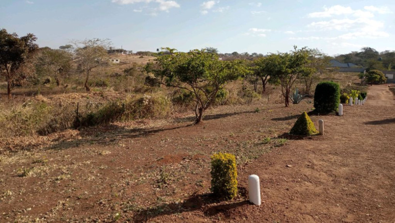 farmland-for-sale-in-mapepe-chilanga-big-1