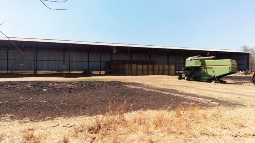 commercial-farm-for-sale-big-2