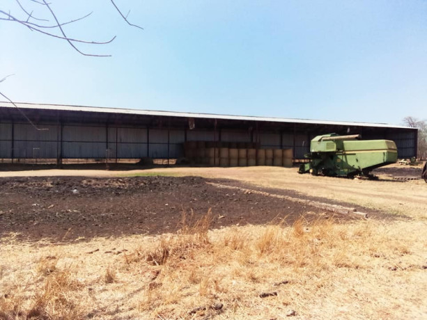 commercial-farm-for-sale-big-2