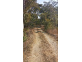 farm-for-sale-in-kitwe-small-0