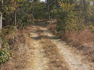 farm-for-sale-in-kitwe